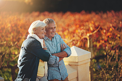 Buy stock photo Shot of a happy senior couple admiring the view while walking in a vineyard