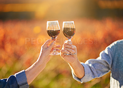 Buy stock photo Shot of an unidentifiable senior couple drinking wine together while standing in a vineyard