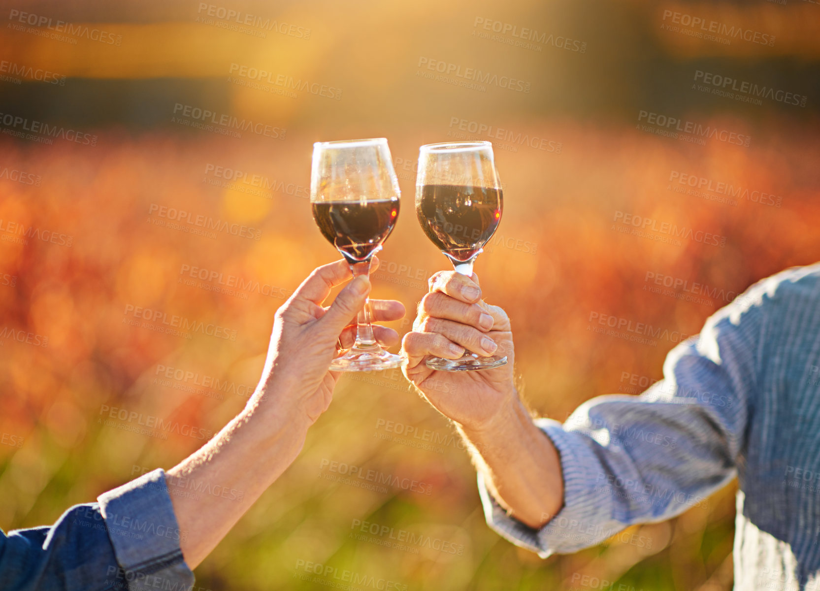 Buy stock photo Cheers, wine glasses and hands in outdoor for love, romance and relax in vineyard or nature. Elderly people, senior couple and alcohol drink on vacation, holiday and calm celebration on anniversary