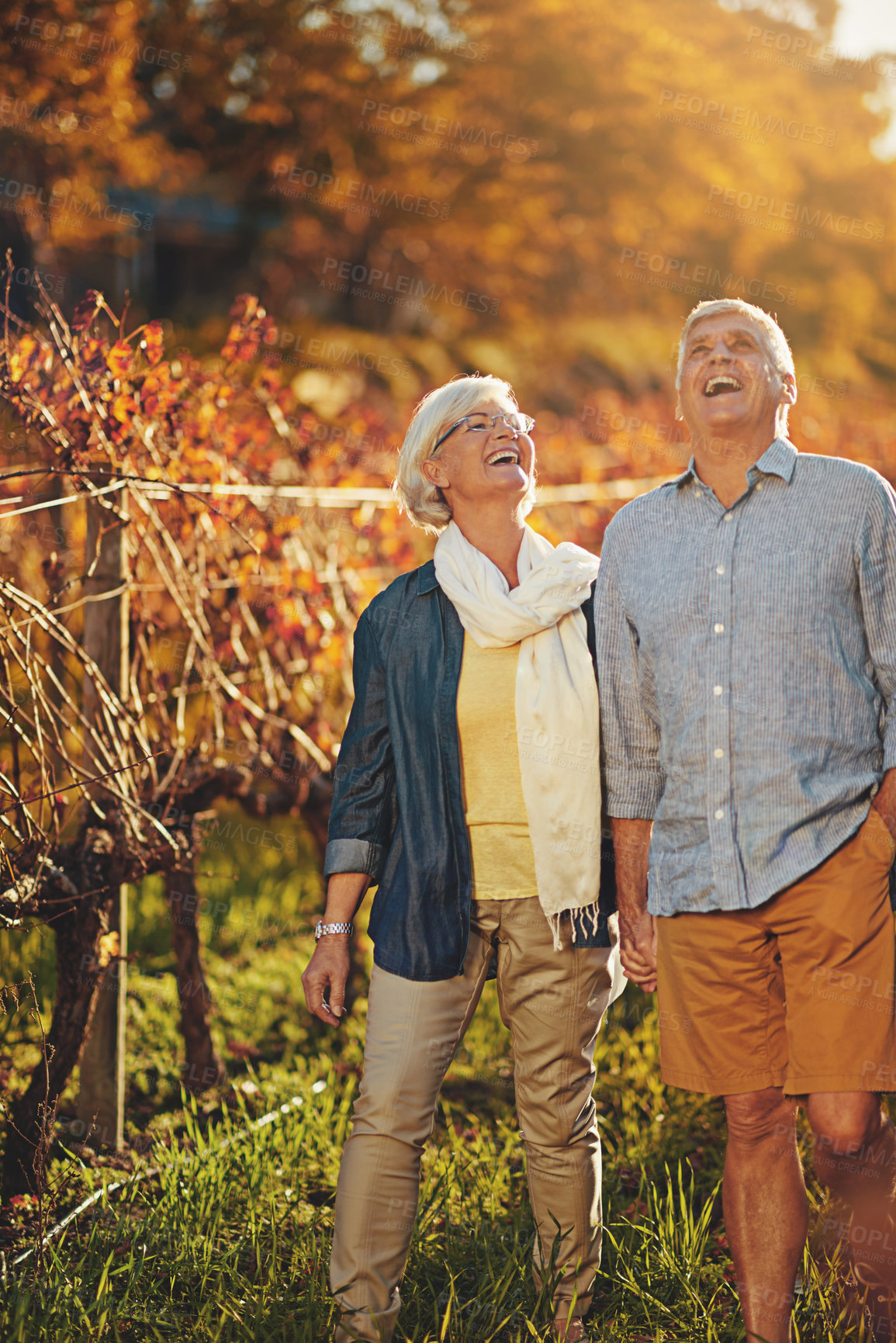 Buy stock photo Senior couple, holding hands and walking in outdoor for love, romance and relax in vineyard or nature. Elderly people, speaking and laugh together on vacation, holiday and retirement for marriage