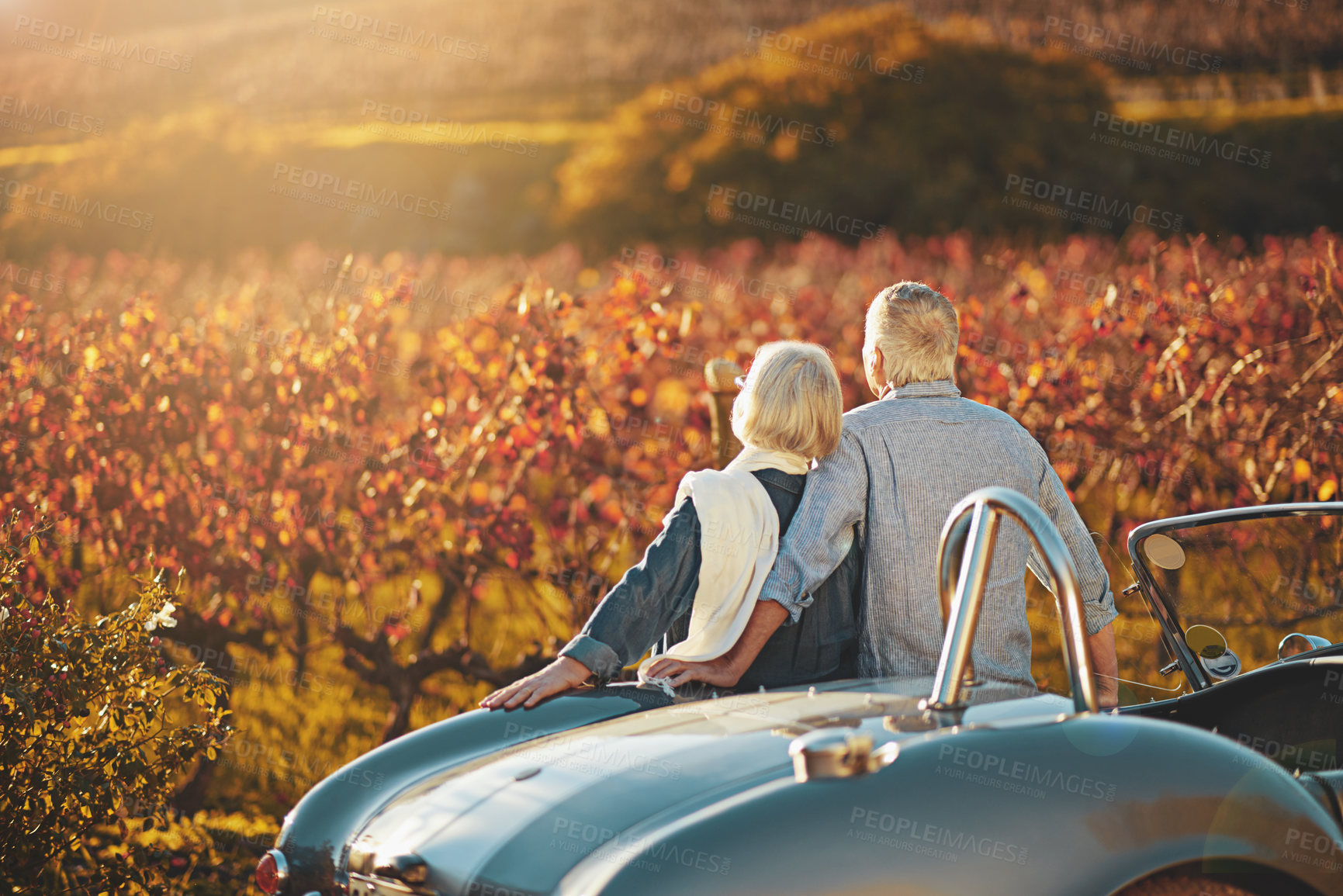 Buy stock photo Shot of a happy senior couple admiring the view while out on a roadtrip