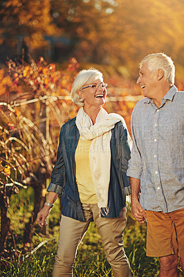 Buy stock photo Shot of a happy senior couple holding hands while walking in a vineyard