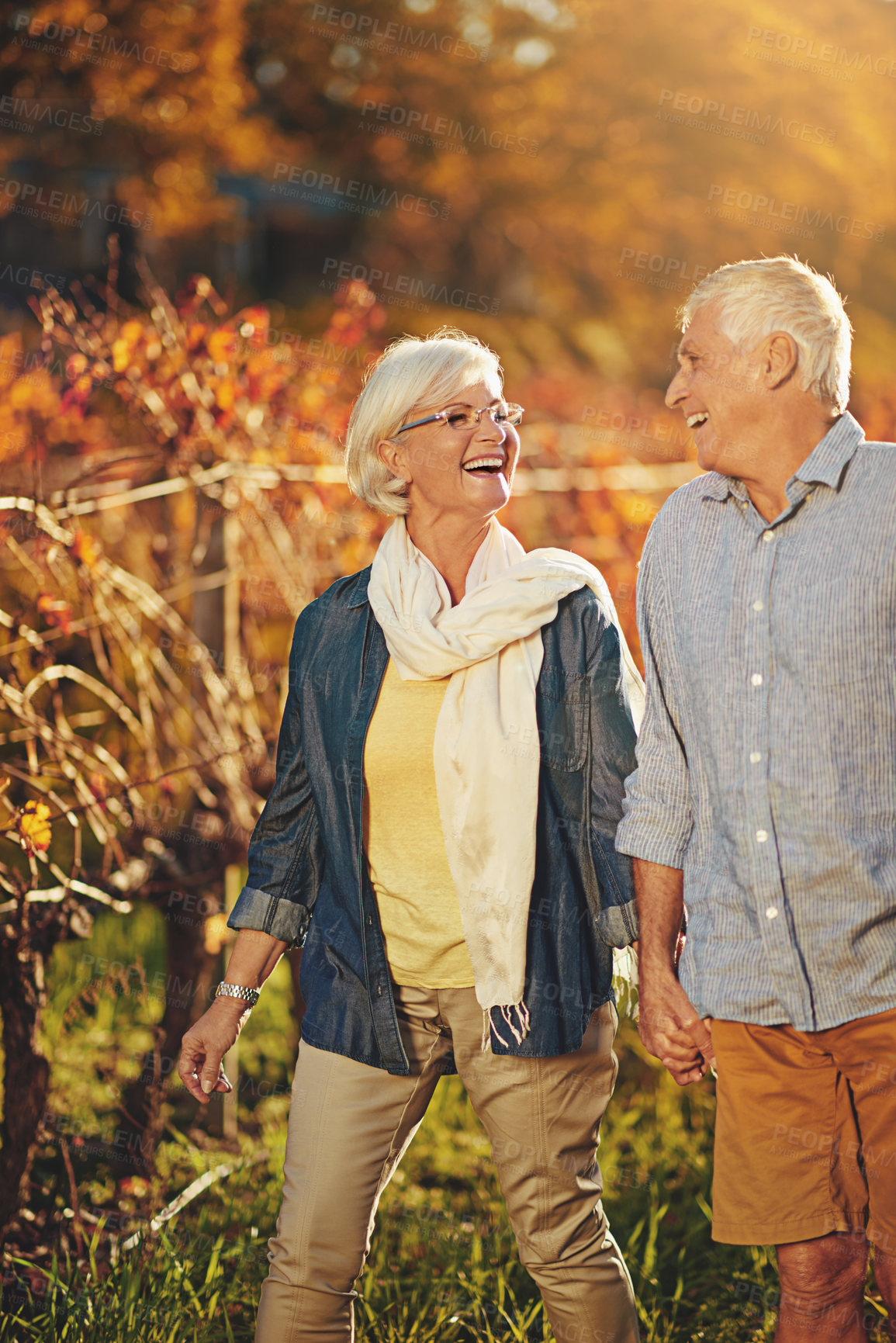 Buy stock photo Senior couple, holding hands and walking in vineyard for love, romance and support in outdoor nature. Elderly people, speaking and laugh together on vacation, holiday and retirement for marriage