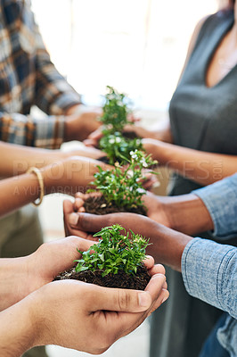 Buy stock photo Cropped shot of a team of colleagues holding a plant