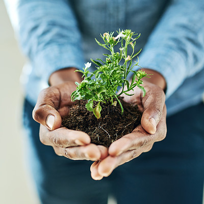 Buy stock photo Cropped shot of a man holding a plant