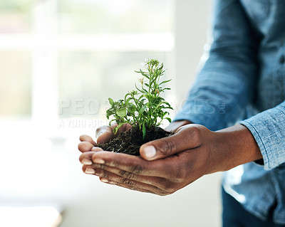 Buy stock photo Earth day, nature plants and hands of business person for new flower life, green leaf or future growth. Sustainability, investment trust and corporate for help, eco friendly environment and nurture