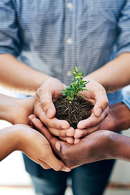 Buy stock photo Earth day, green plants and hands of business people for new flower life, nature leaf or future growth. Sustainability, team building and corporate for help, eco friendly environment and nurture