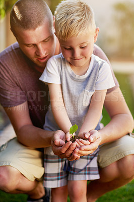 Buy stock photo Cropped shot of a father and his little son holding a plant growing out of soil