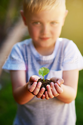 Buy stock photo Portrait of a little boy holding a plant growing out of soil