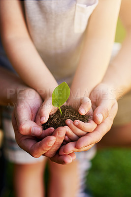 Buy stock photo Environment, people holding a plant growing in soil and outdoors with lens flare. Ecology or sustainability, eco friendly or growth and hands of father with child hold green seedling with family