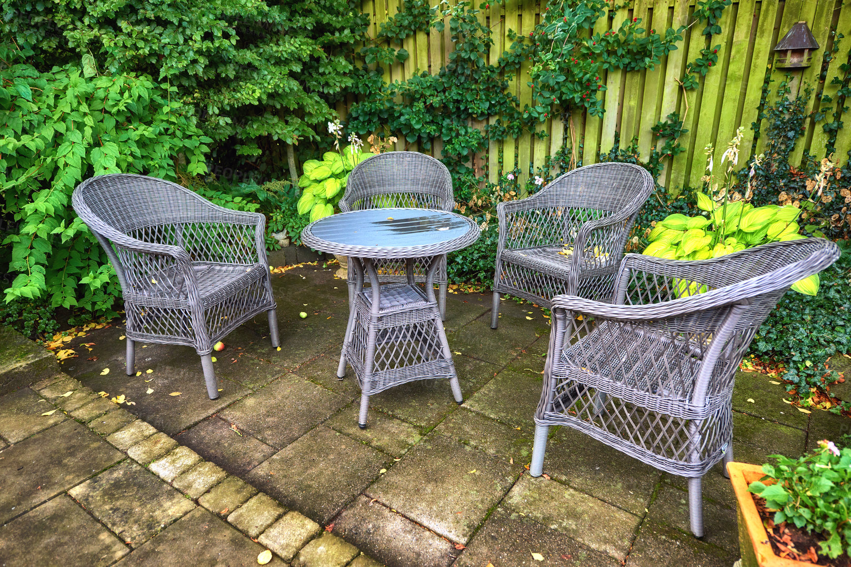 Buy stock photo Cane chairs and tables on a patio surrounded by green lush garden. Sitting area in a backyard with a cane craft. Antique grey chairs are arranged with a table in a shady spot in landscaped yard. 