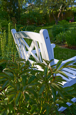 Buy stock photo Bench, backyard and garden with plants, flower and leaves with sunshine, spring and natural. Empty, chair and outdoor with ecology, landscape or environment with growth, gardening design or furniture