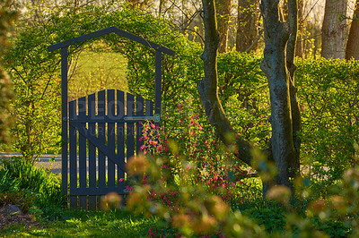 Buy stock photo Small wooden gate in the countryside. Lush green garden upon entrance to private home in the woodlands. Sanctuary or safe haven in remote area in nature. Frontyard with trees, plants and green grass