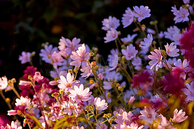 Garden in all seasons