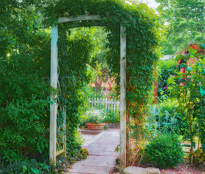 Buy stock photo Garden landscape design of wooden archway leading to a serene, peaceful, zen, calm, quiet home backyard. Passionate about horticulture, hobby landscaping and growing various lush, dense, green plants