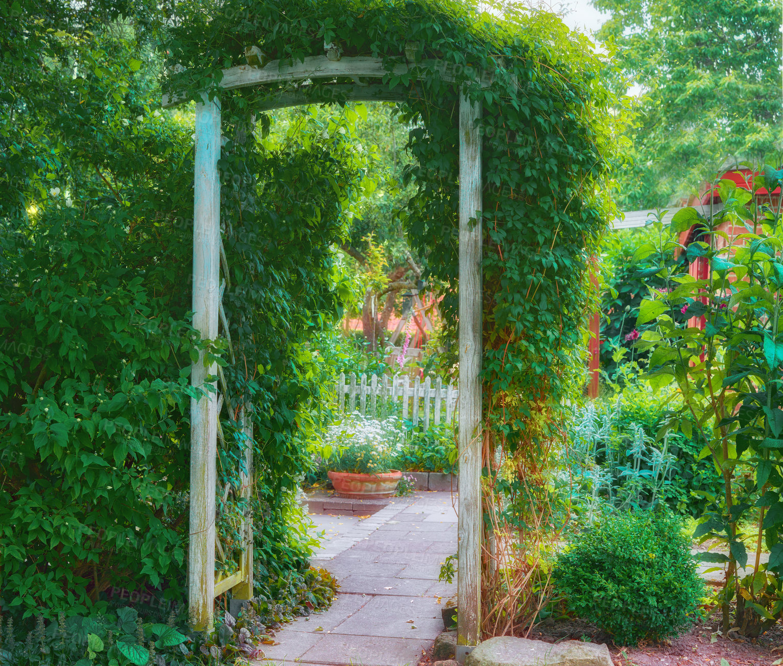 Buy stock photo Garden landscape design of wooden archway leading to a serene, peaceful, zen, calm, quiet home backyard. Passionate about horticulture, hobby landscaping and growing various lush, dense, green plants