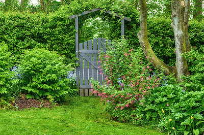 Buy stock photo A wooden gate entrance and exit in a lush green garden with tress, bushes, shrubs and plants. Gateway leading to serene, tranquil, zen, calm backyard at home. Gardening and planting passion and hobby