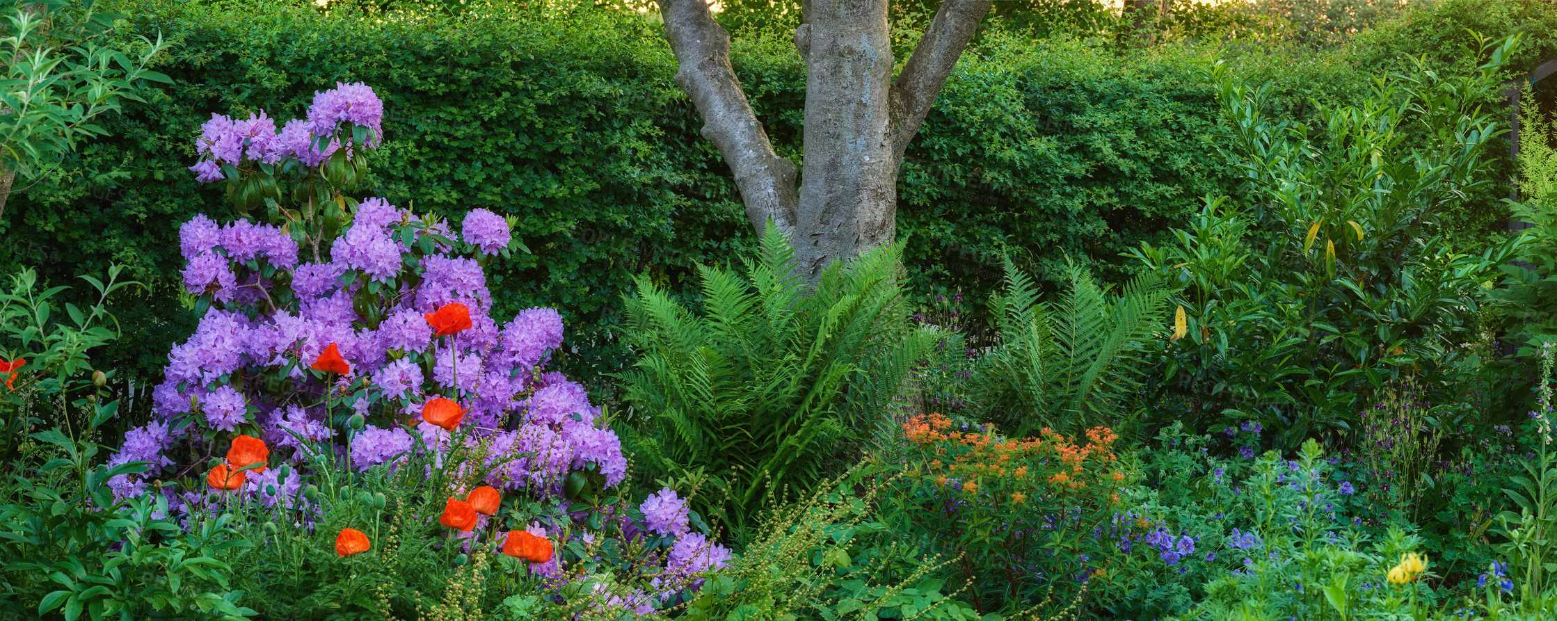 Buy stock photo A series of beautiful garden photos