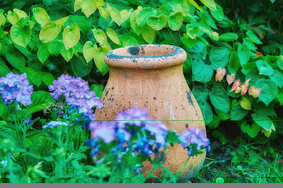 Buy stock photo Old plant pot in a garden with a lush green bush and purple flowers. Empty brown clay vase outdoors in a backyard or park on a summer day. Aged container outside in a bright vibrant bush or shrub 