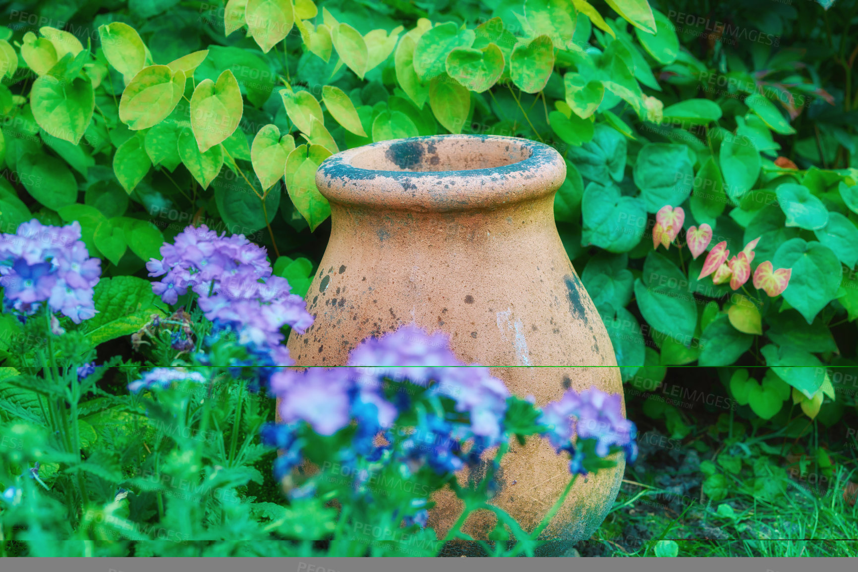 Buy stock photo Old plant pot in a garden with a lush green bush and purple flowers. Empty brown clay vase outdoors in a backyard or park on a summer day. Aged container outside in a bright vibrant bush or shrub 