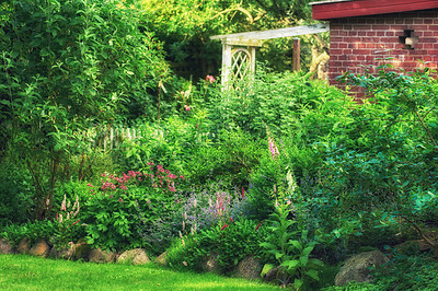 Buy stock photo Lush green botanical garden background. Red brick countryside cottage surrounded by lush foliage planting. Landscaping of green plants, shrubs and trees growing in a secluded backyard in summer