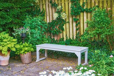 Buy stock photo A white courtyard garden bench and lush green plants, trees and bushes in a secluded and private backyard at home. Serene, calm, tranquil and zen place to relax. Meditate and immerse in mother nature