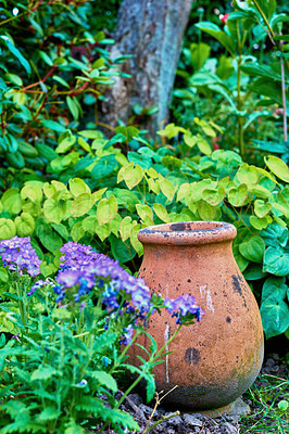 Buy stock photo Old clay pot outdoors in a garden with lush green plants and purple flowers. Empty aged plant vase outside in nature on a summer day with a waterfall in the background. Pottery vessel in a park 