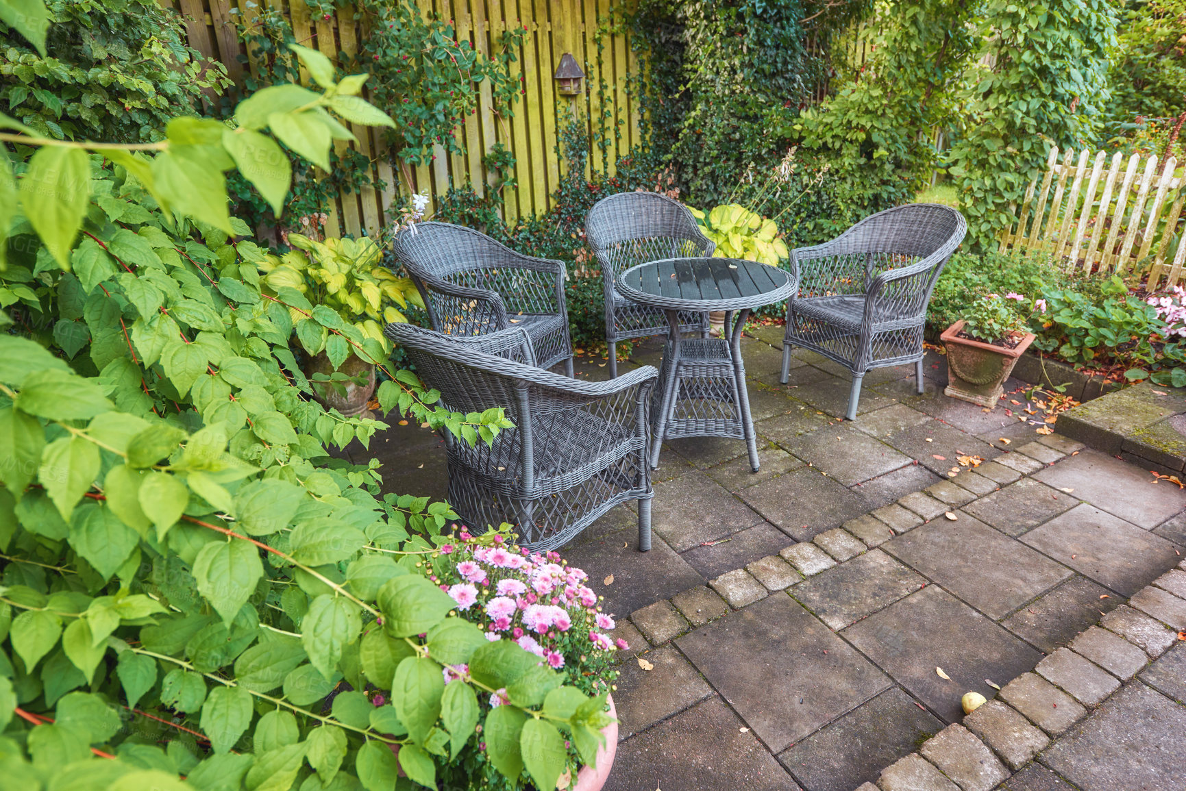 Buy stock photo Rattan chairs around a table in a lush garden patio on a bright and sunny day. Rustic outdoor furniture in a calm and peaceful environment surrounded by nature in spring. Cosy spot to enjoy a picnic
