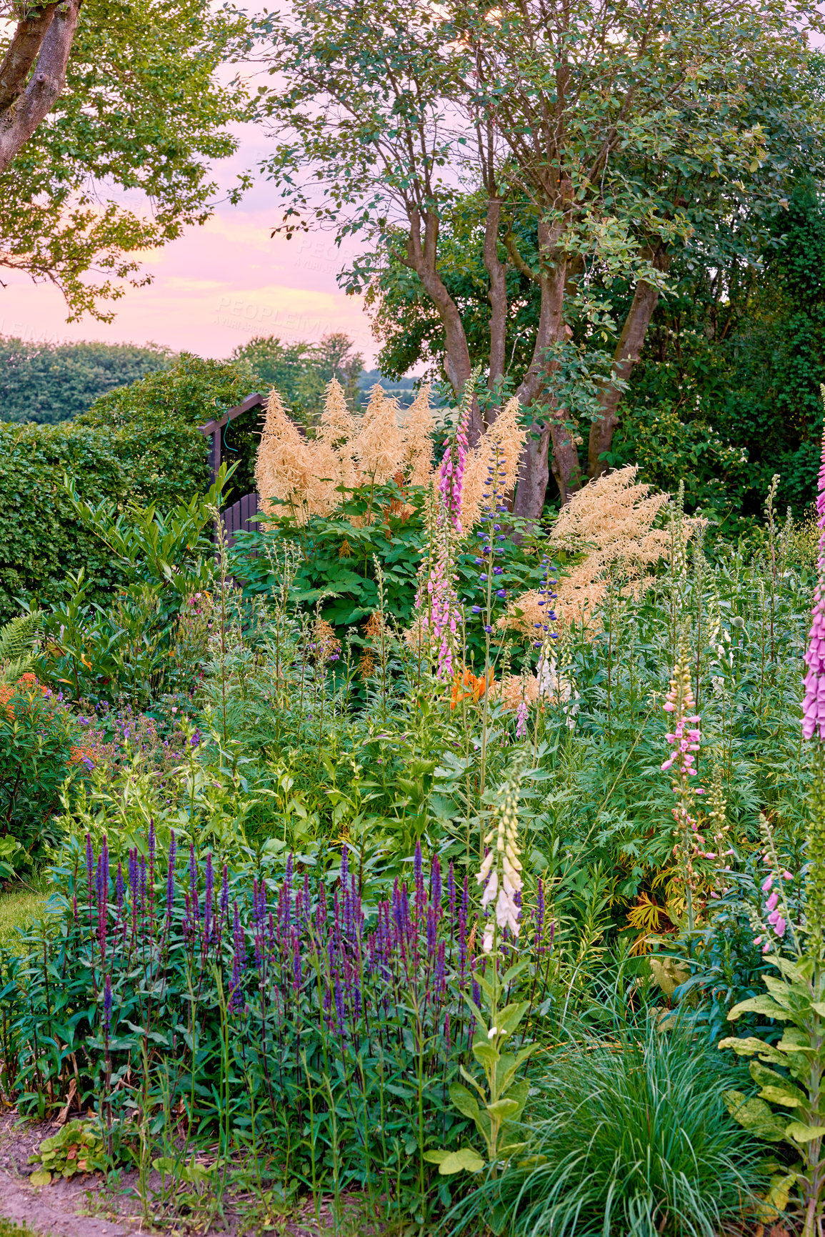 Buy stock photo A landscape view of pink foxglove, yellow foxtail lily, orange tecoma, purple Delphinium, vines, and fern under a bright pink sky. A beautiful view of the forest with different tropical flora.