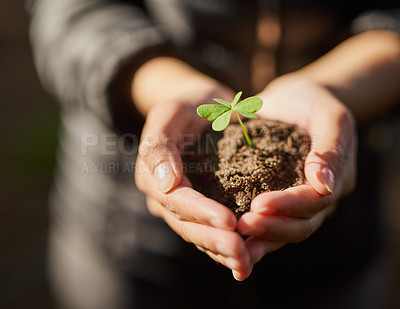 Buy stock photo Shot of an unidentifiable young woman holding a seedling in a pile of soil