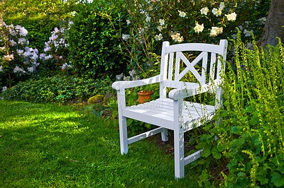 Buy stock photo Garden with white chair in springtime