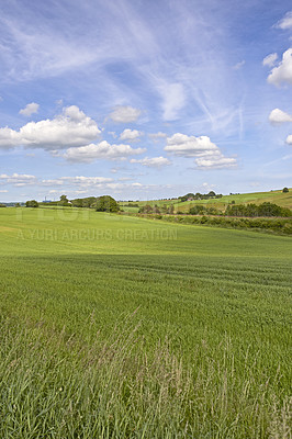 Buy stock photo The countryside in springtime - lots of copy space
