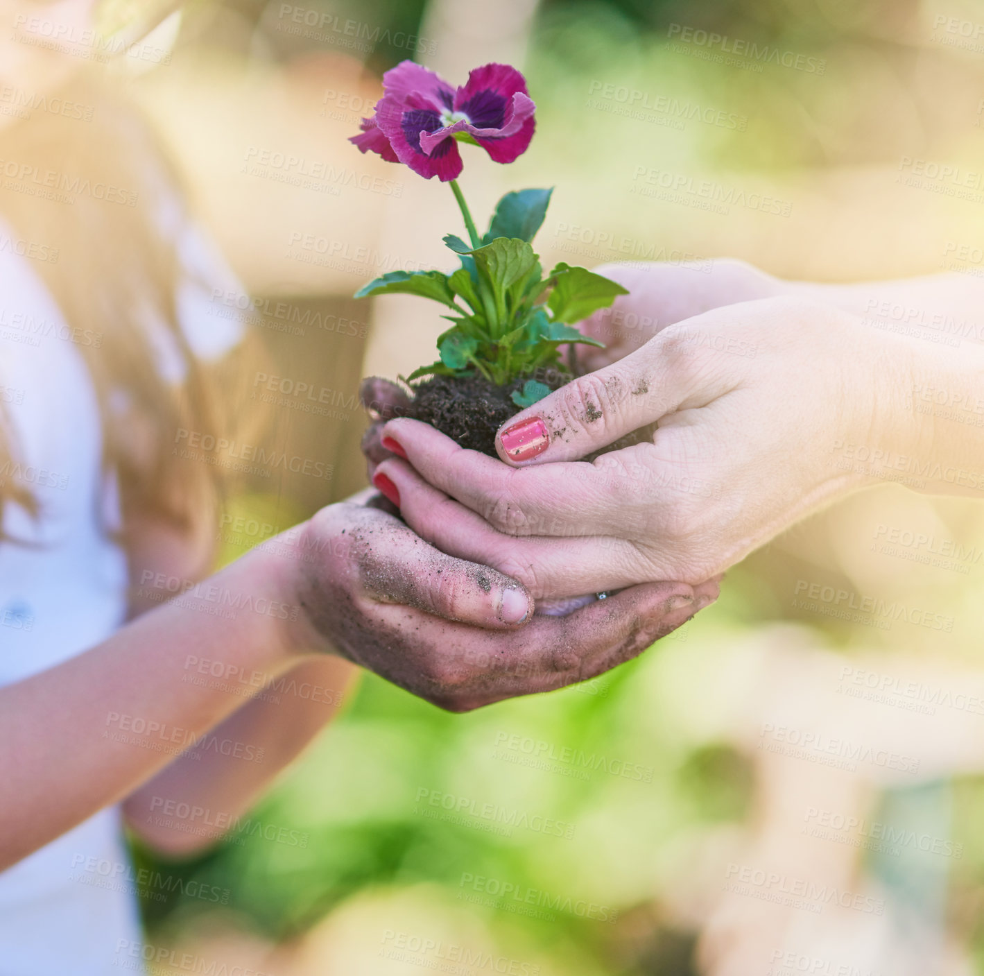 Buy stock photo Closeup shot of a mother and her little daughter holding a plant growing out of soil