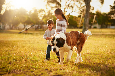Buy stock photo Shot of two cute little siblings walking through a park with their dog