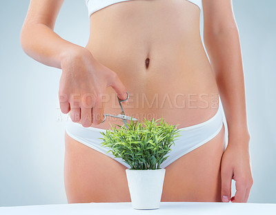 Buy stock photo Hair removal, potted plant and person with scissors in studio for feminine hygiene, trimming or grooming on gray background. Wellness, body and model in underwear for skincare, beauty or maintenance