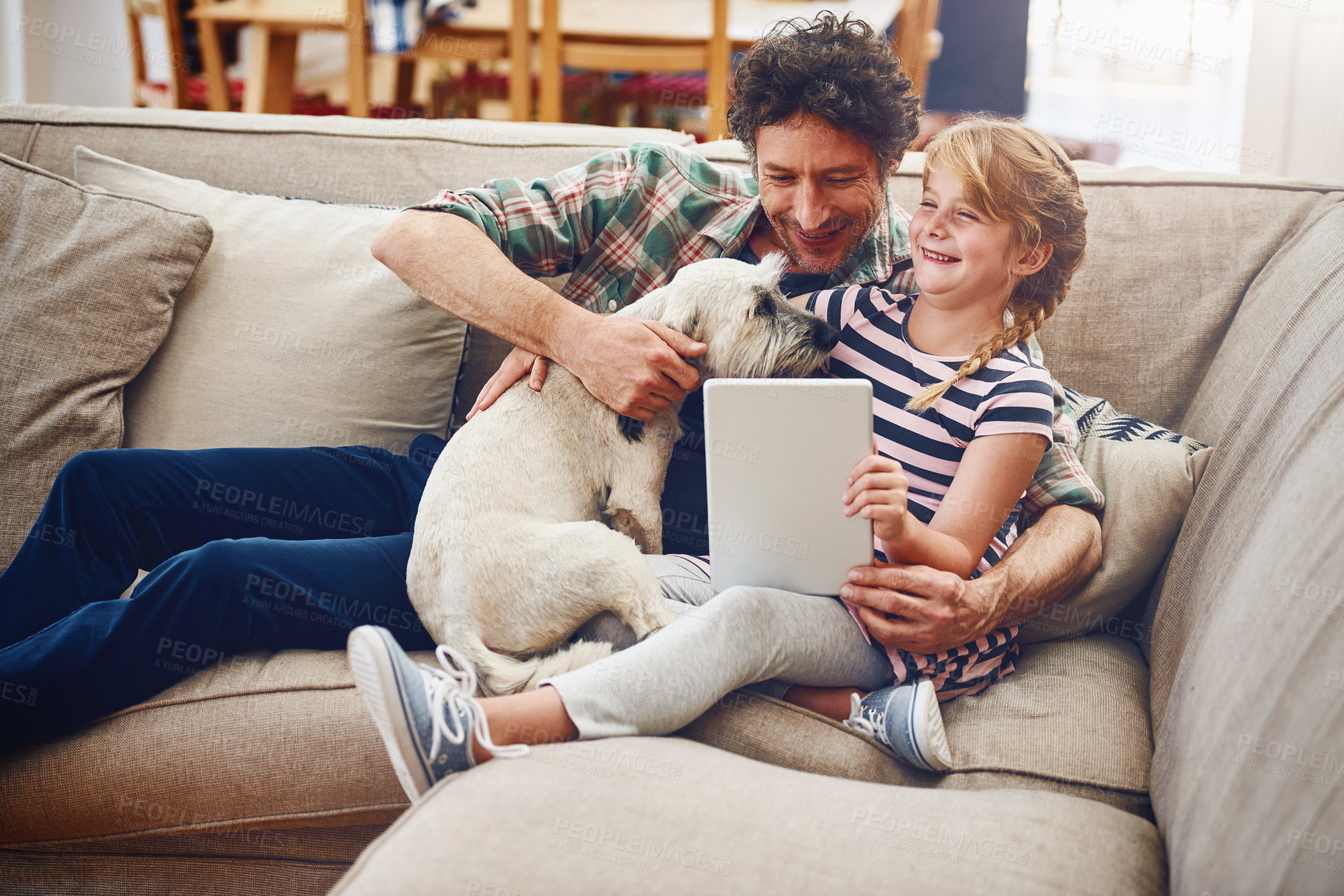 Buy stock photo Sofa, tablet and father with child and dog in home for watching movies, cartoons and online entertainment. Family, love and dad with girl on digital tech for internet, videos and relax on weekend