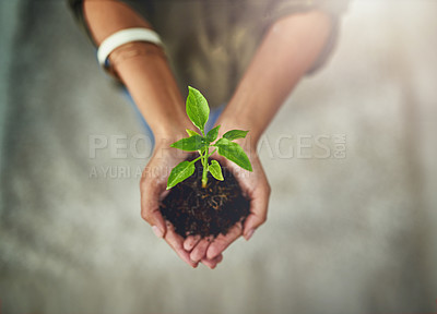Buy stock photo High angle shot of a young businesswoman holding a plant growing in soil