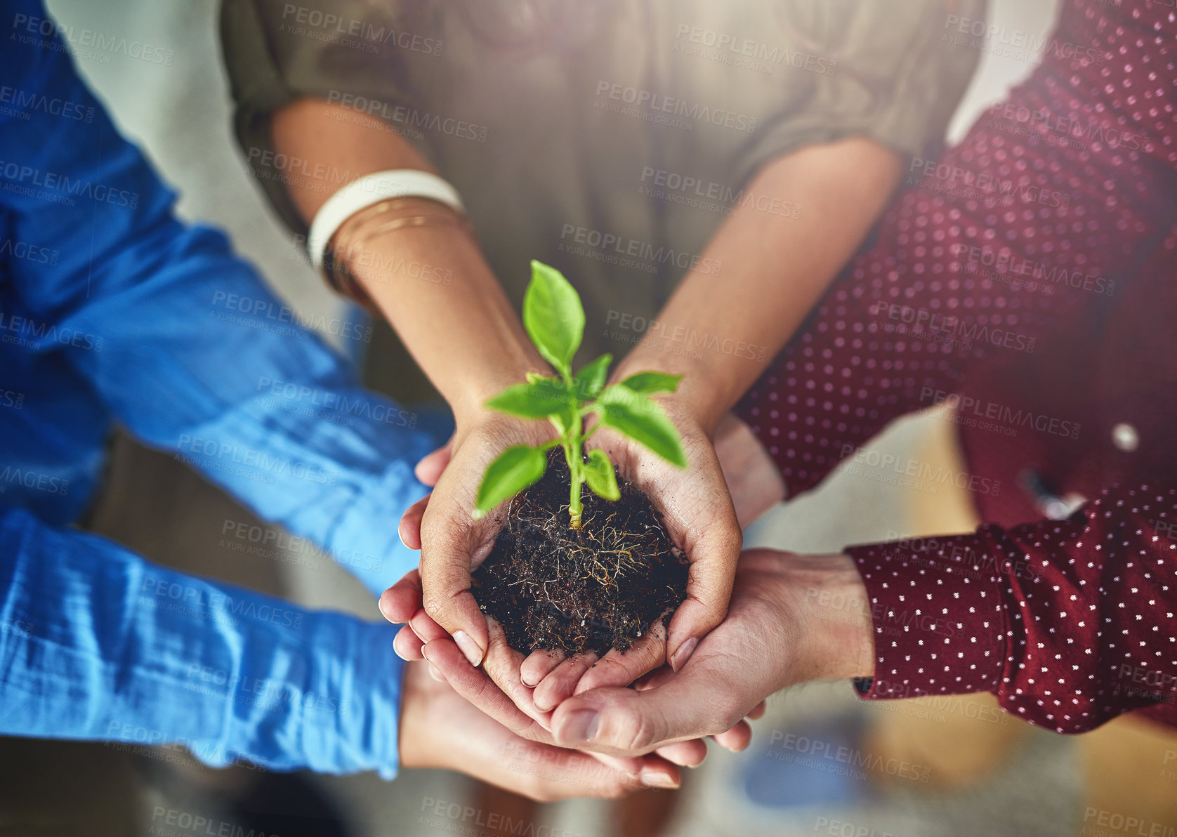 Buy stock photo High angle shot of a group of businesspeople holding a plant growing in soil
