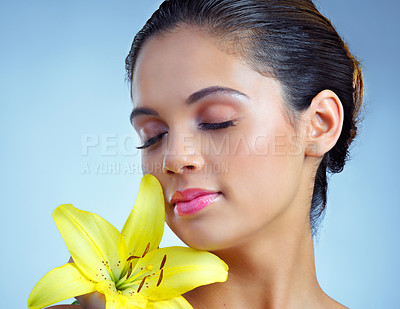 Buy stock photo Studio shot of a beautiful young woman posing with a flower against a blue background