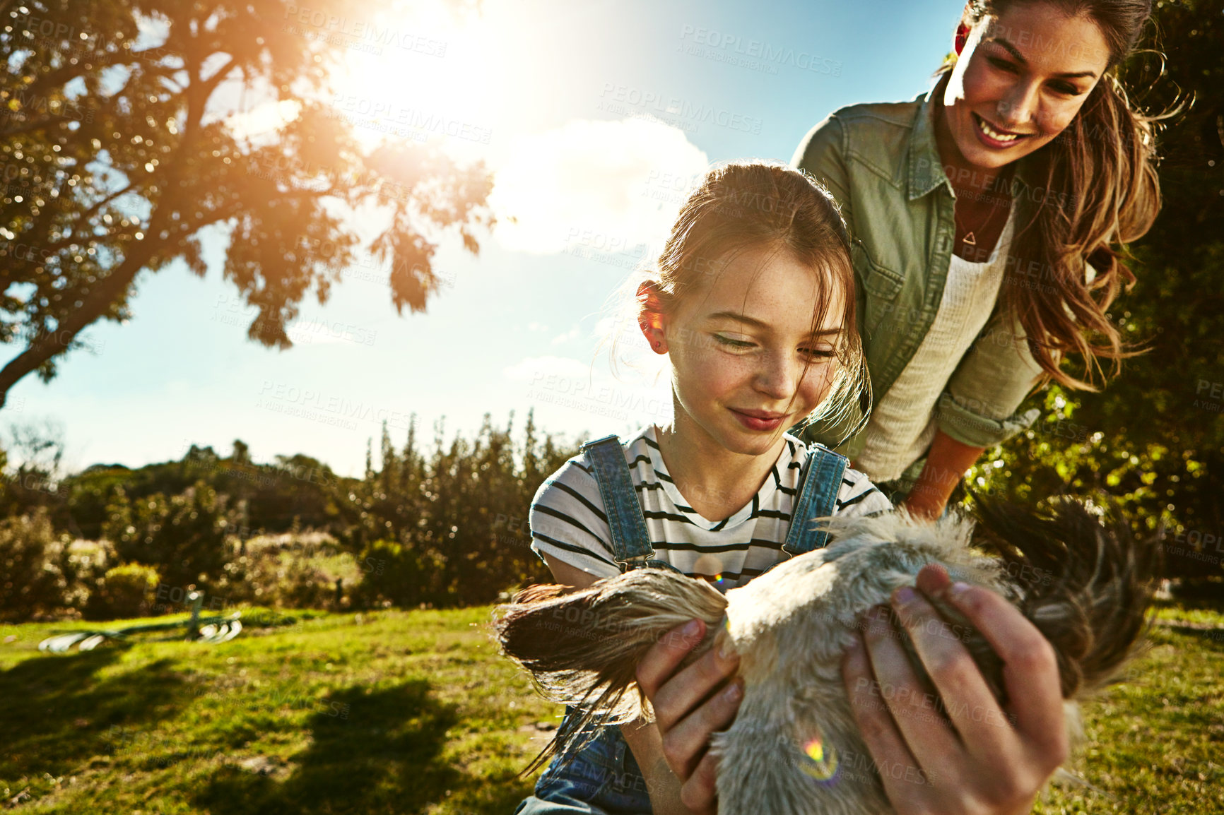 Buy stock photo Outdoor, mother and girl with dog, sunshine and care with weekend break, happiness or summer. Park, single parent or mama with daughter, animal or pet with lens flare, fun or child with smile or love