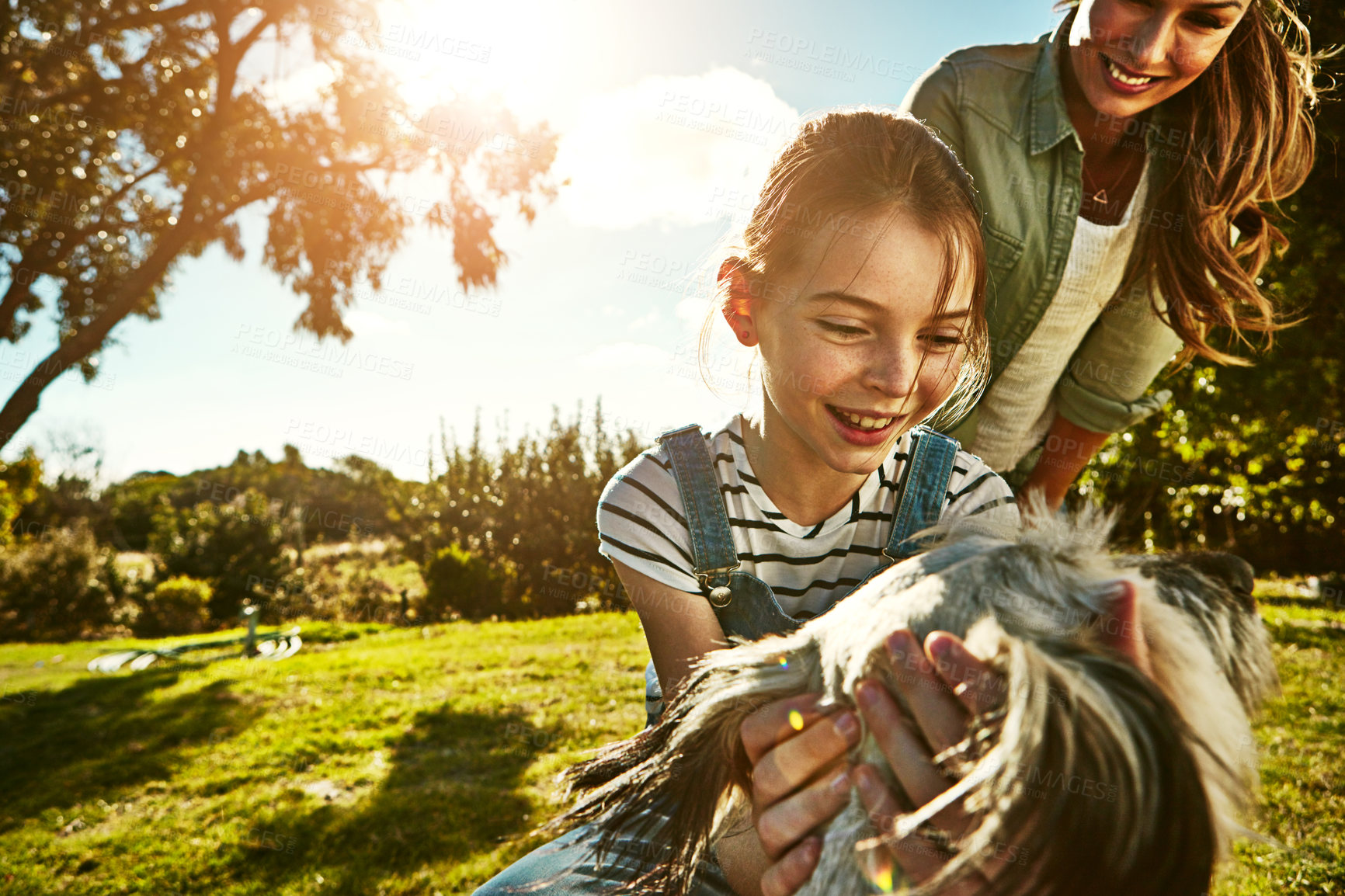 Buy stock photo Outdoor, mother and girl with dog, happiness and sunshine with weekend break, animal and nature. Family, single parent and mama with daughter, love and pet with lens flare, fun and summer with smile