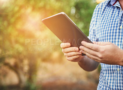 Buy stock photo Hands, farmer and tablet in countryside for research, crops and plants information on agriculture. Nature, tech and person outdoor for digital inspection, ecology and sustainability in Australia