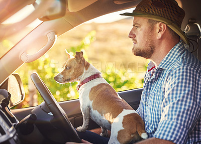 Buy stock photo Shot of a man and his dog driving out in the countryside