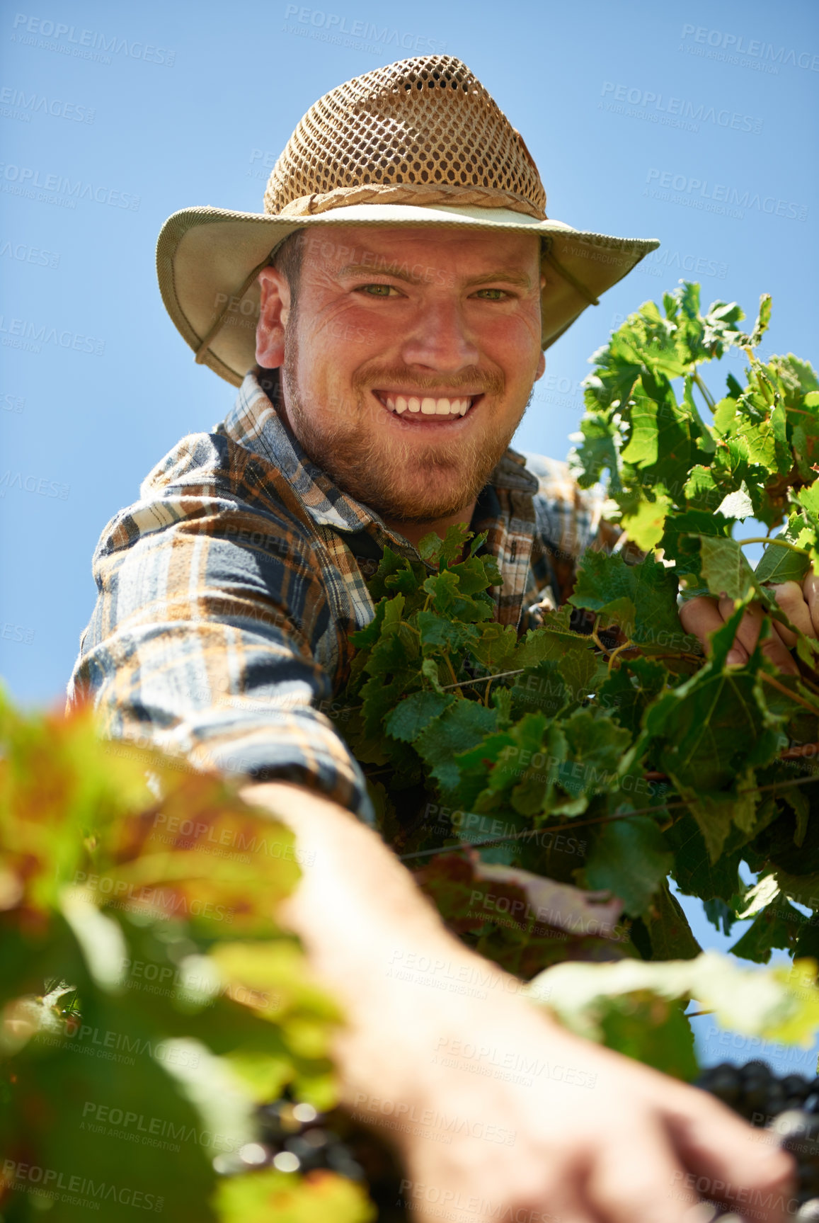 Buy stock photo Shot of a farmer out harvesting