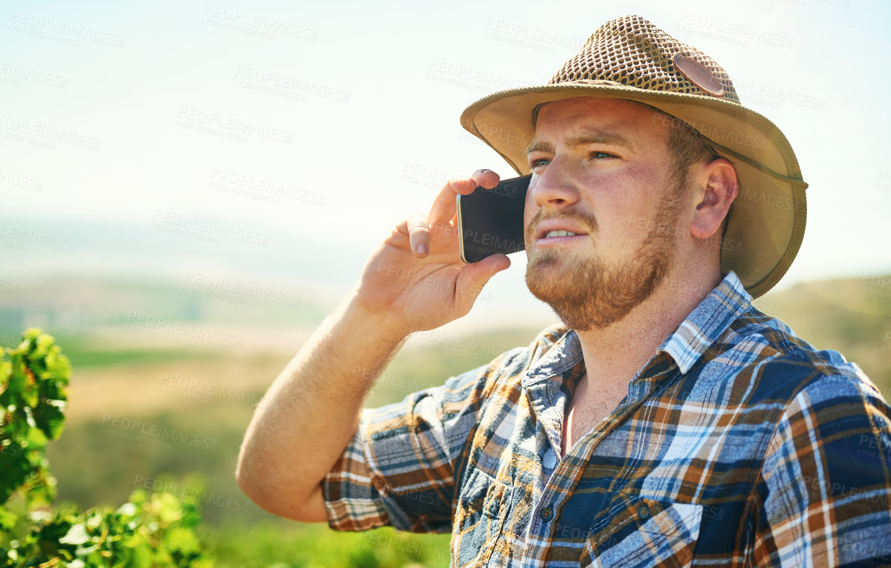 Buy stock photo Farmer, man and phone call on vineyard outdoor with talking, communication and discussion of crops growth. Professional, entrepreneur and mobile chat with space, produce control and working on field