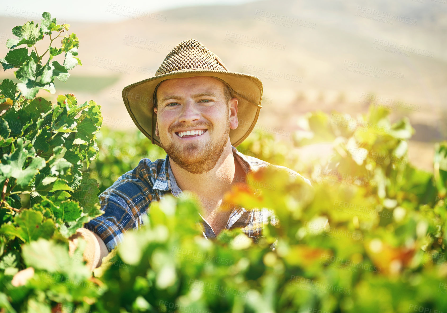 Buy stock photo Shot of a farmer out on his rounds in his vineyard