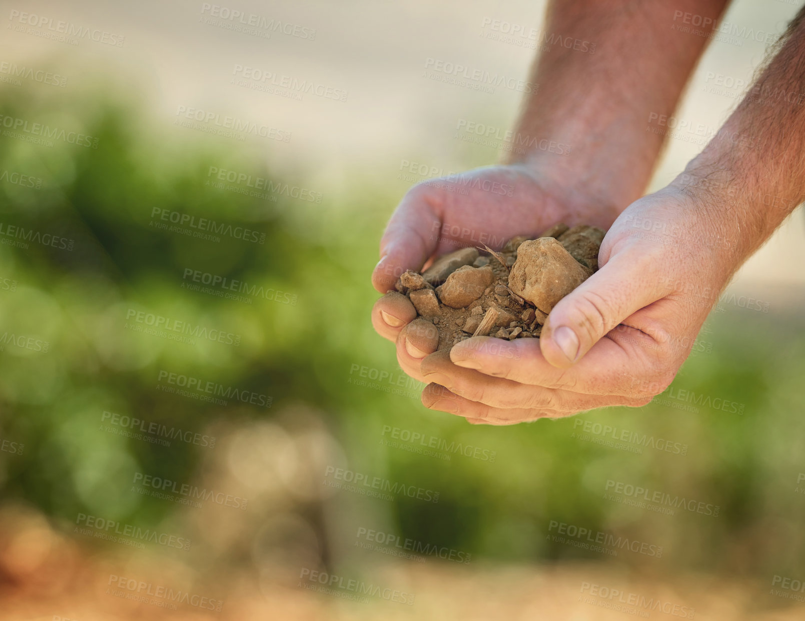Buy stock photo Nature, agriculture and hands with soil for farming and planting crops for sustainable business. Field, rocks and farmer with fertilizer and gravel for produce growth in countryside environment.