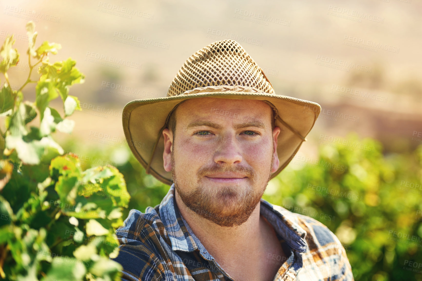 Buy stock photo Man, portrait and farmer with hat for agriculture, conservation or harvest in countryside nature. Face of young male person or gardener with smile for farming, ecology or natural growth on land