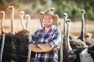 Buy stock photo Cropped shot of a man on his ostrich farm
