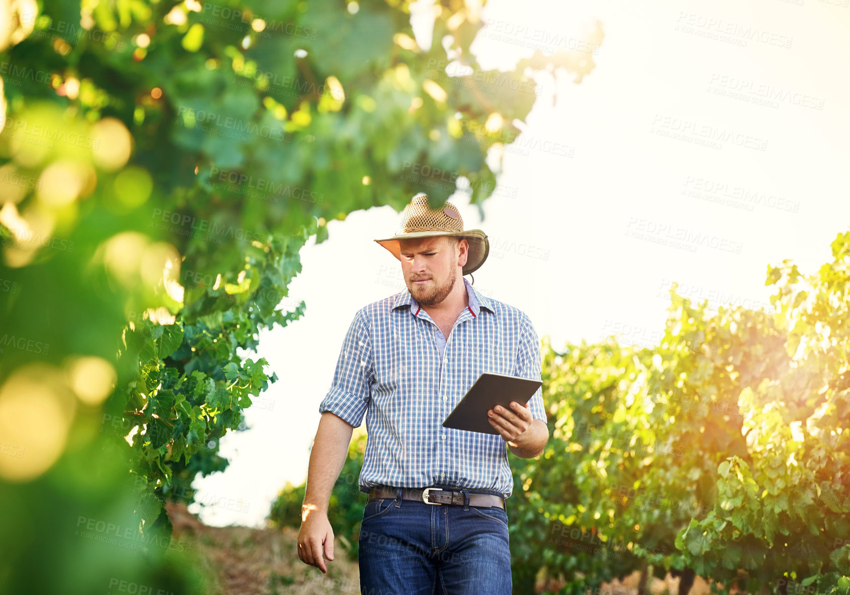 Buy stock photo Cropped shot of a farmer using a digital tablet while doing his rounds